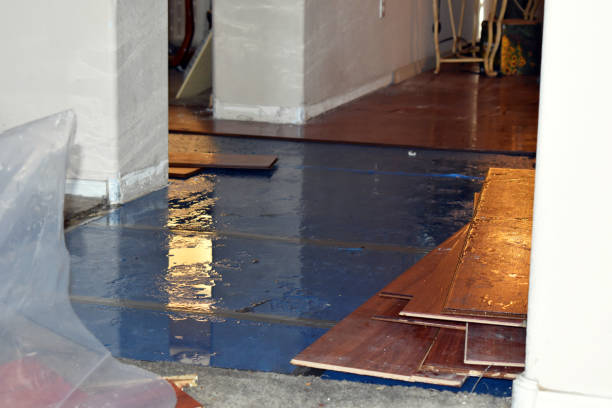 Professional Burst Pipe Cleanup technician working in Emerson, NJ